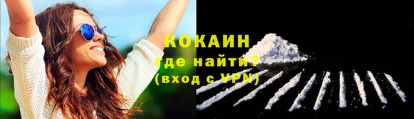 спиды Бородино