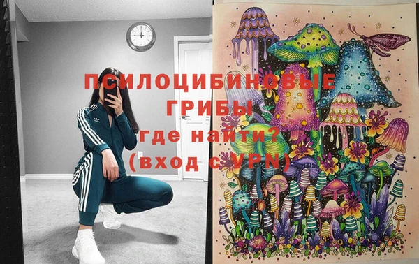 спиды Бородино