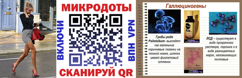 kraken зеркало  Мичуринск  Псилоцибиновые грибы Cubensis 